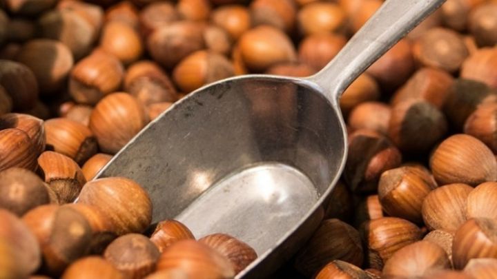 Fındığın qiymətini aşağı salmaq üçün ortaya atılan bəhanə