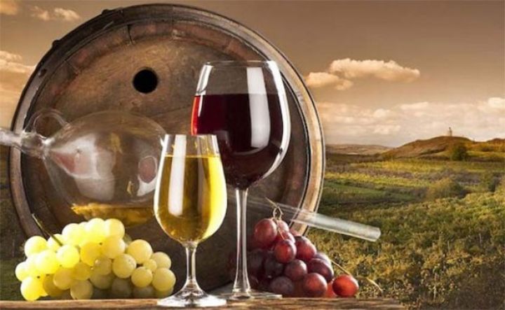 Dövlətə məxsus şərab şirkətinə maya qoyuldu