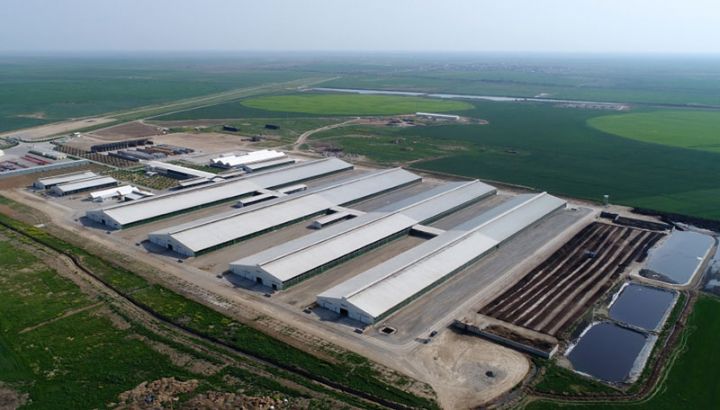 “Azərsun”dan 77 milyon manat sərmayə!