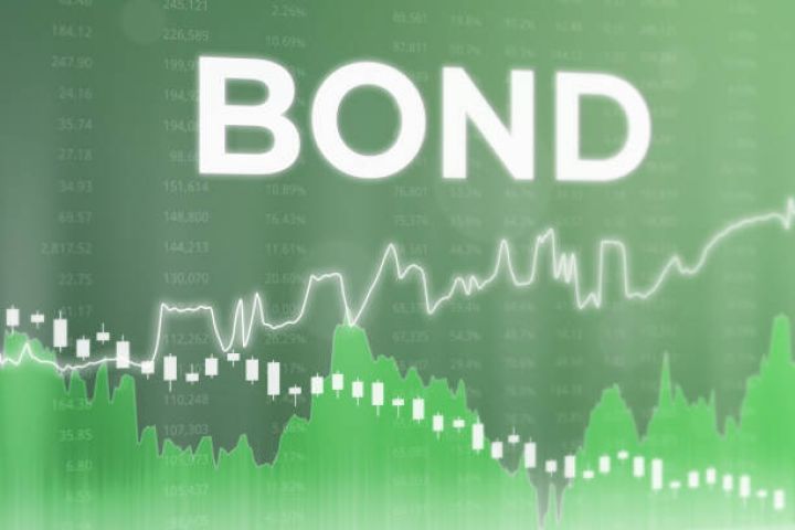 Gələn il Azərbaycanda yaşıl dövlət istiqrazlarının buraxılması planlaşdırılır