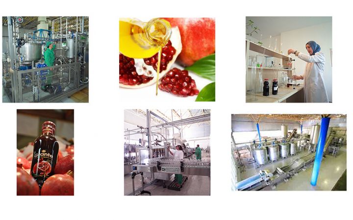 Milyarderin Azərbaycandakı şirkəti bank kreditləri cəlb edir