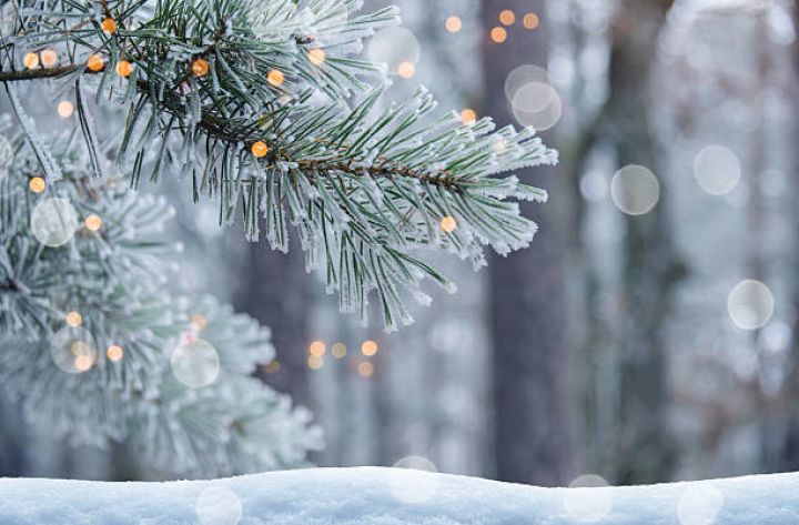 Yanvarın 1-də gözlənilən hava şəraiti -Qar yağacağı gözlənilir. Ayrı-ayrı yerlərdə intensiv olacağı ehtimalı var