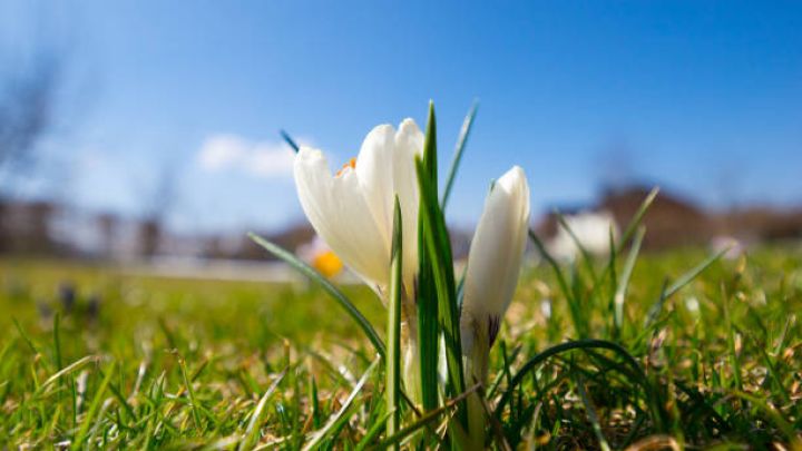 Martın 29-da gözlənilən hava şəraiti